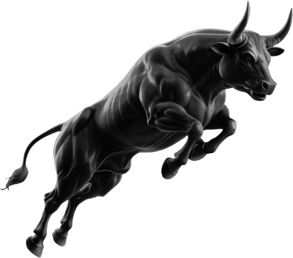 bull image
